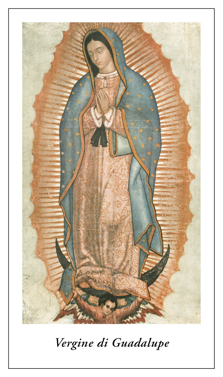 immagine vergine di guadalupe art 3309:93